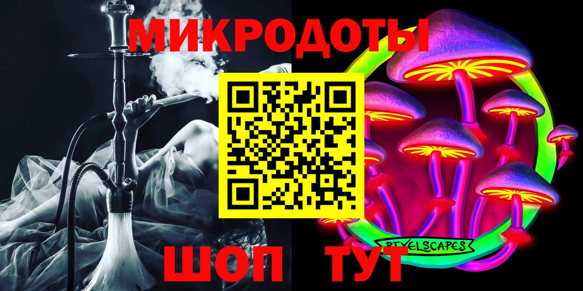 Псилоцибиновые грибы Psilocybe Сосновый Бор