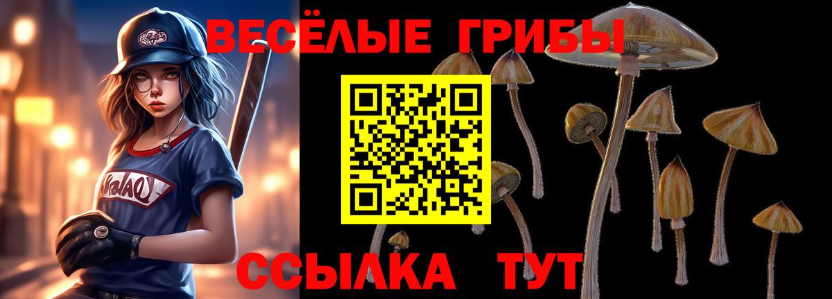 Сосновый Бор  Галлюциногенные грибы прущие грибы  Вход с VPN  Псилоцибиновые грибы мицелий 