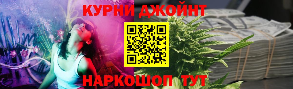 Бошки марихуана сатива  Бошки Шишки сатива  Канабис сатива  МАРИХУАНА план  Сосновый Бор  Вход с VPN 